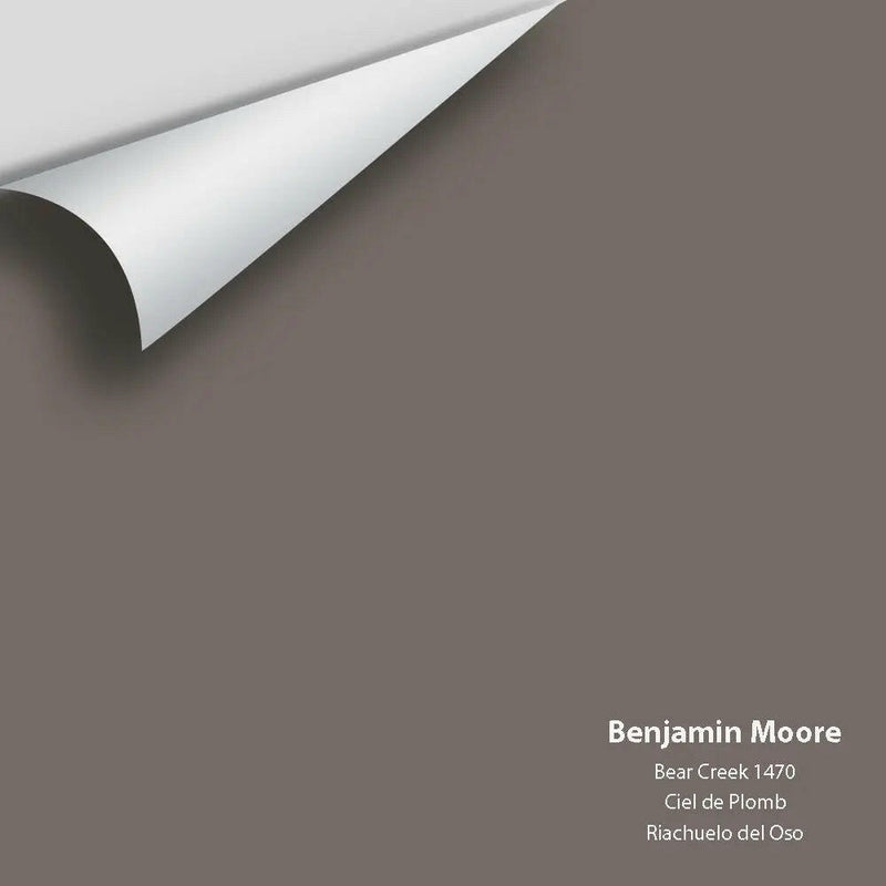 Big Paint Chip - Bear Creek 1470 Colour Sample