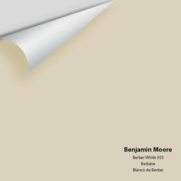 Benjamin Moore - Berber White 955 Colour Sample