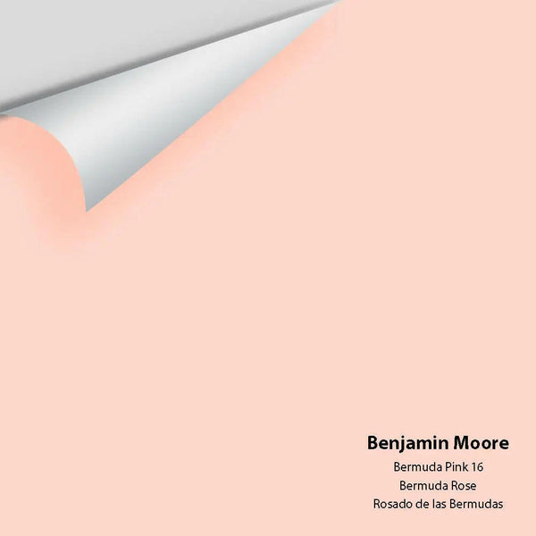 Big Paint Chip - Bermuda Pink 16