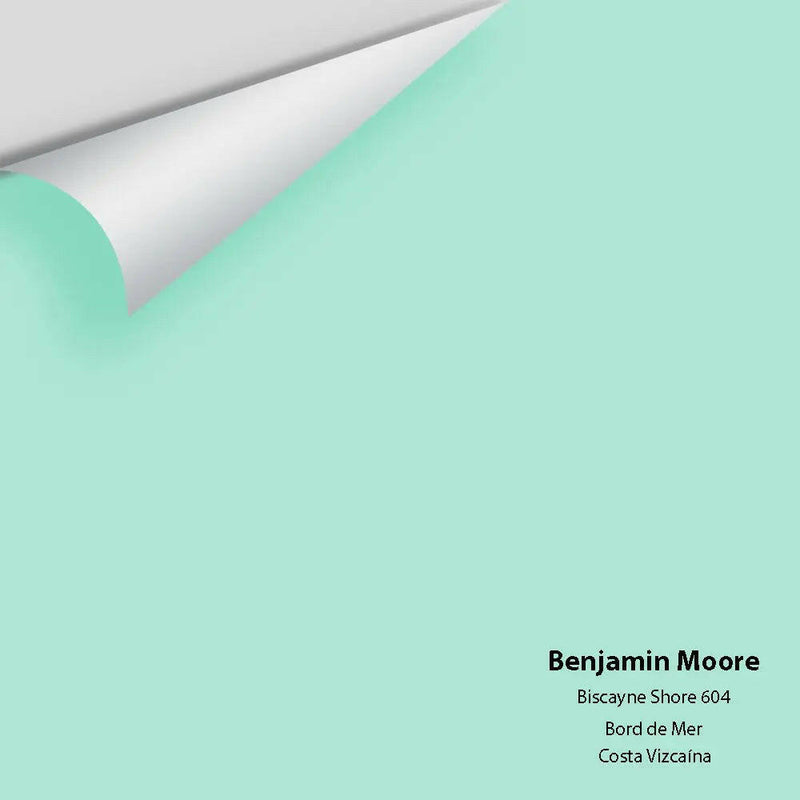 Big Paint Chip - Biscayne Shore 604