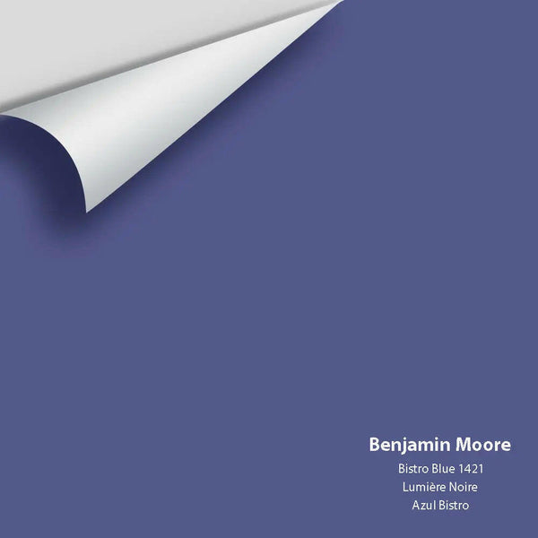 Big Paint Chip - Bistro Blue 1421