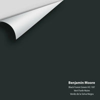 Benjamin Moore - Black Forest Green HC-187 Colour Sample