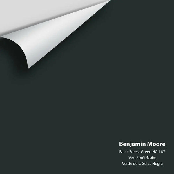 Benjamin moore discount black forest green