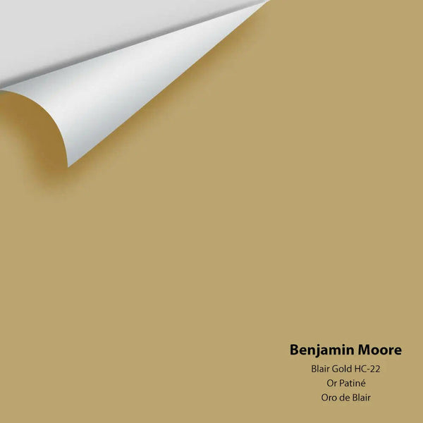 Big Paint Chip - Blair Gold HC-22