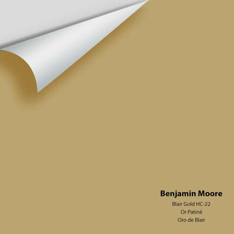Big Paint Chip - Blair Gold HC-22