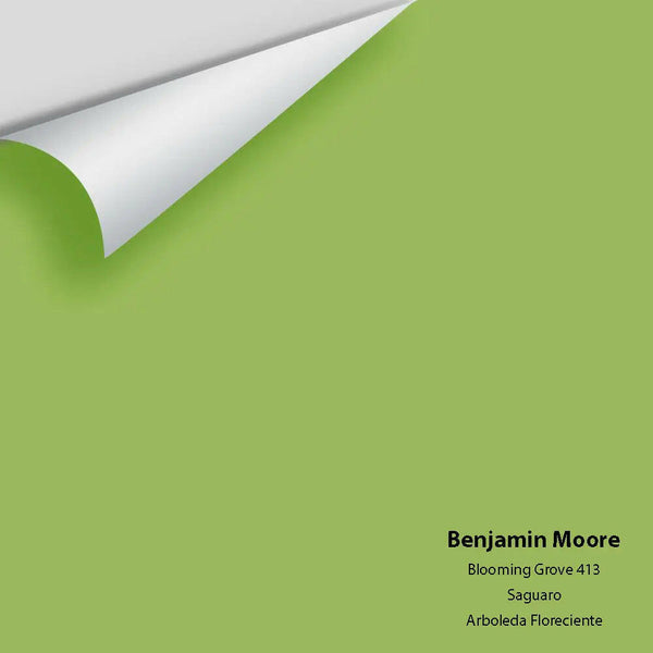 Big Paint Chip - Blooming Grove 413