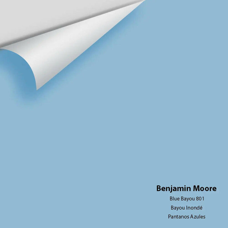 Big Paint Chip - Blue Bayou 801