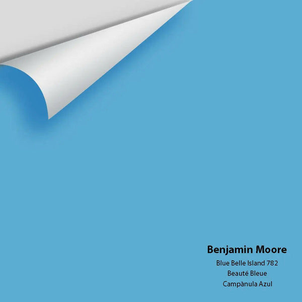Big Paint Chip - Blue Belle Island 782