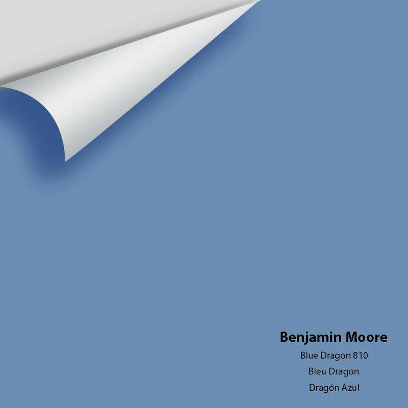Big Paint Chip - Blue Dragon 810