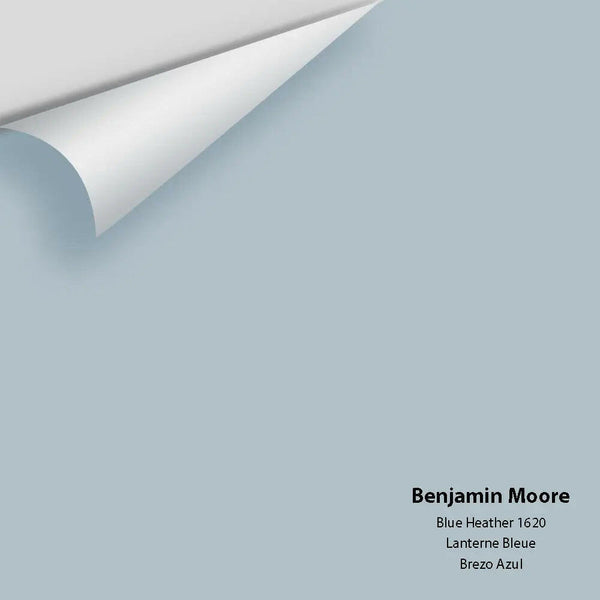 Benjamin Moore - Blue Heather 1620 Colour Sample