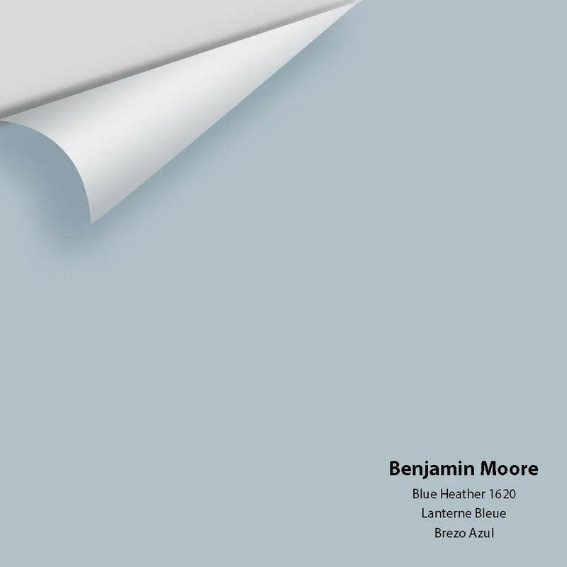 Benjamin Moore - Blue Heather 1620 Colour Sample