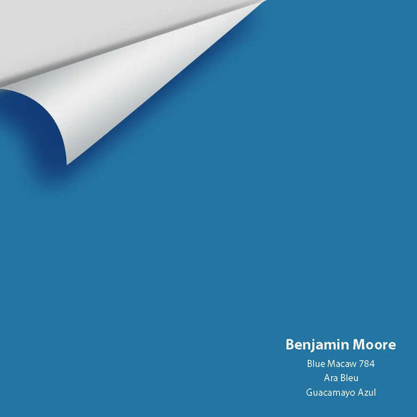 Big Paint Chip - Blue Macaw 784
