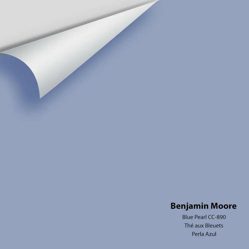 Big Paint Chip - Blue Pearl 1433 / CC-890 - Colour Squared Inc.