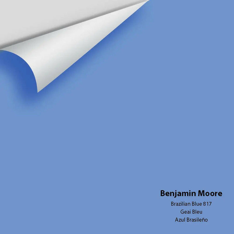Big Paint Chip - Brazilian Blue 817