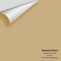 Big Paint Chip - Bridgewater Tan 1096