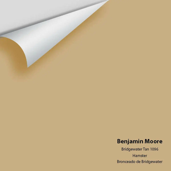 Big Paint Chip - Bridgewater Tan 1096