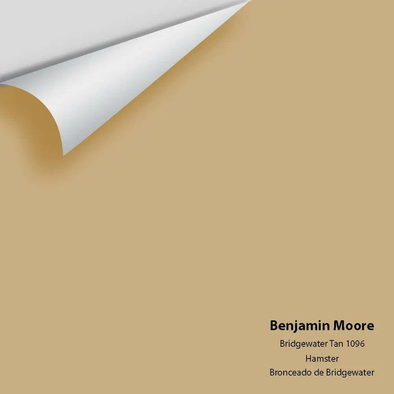 Big Paint Chip - Bridgewater Tan 1096