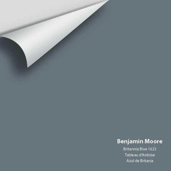 Benjamin Moore - Britannia Blue 1623 Colour Sample