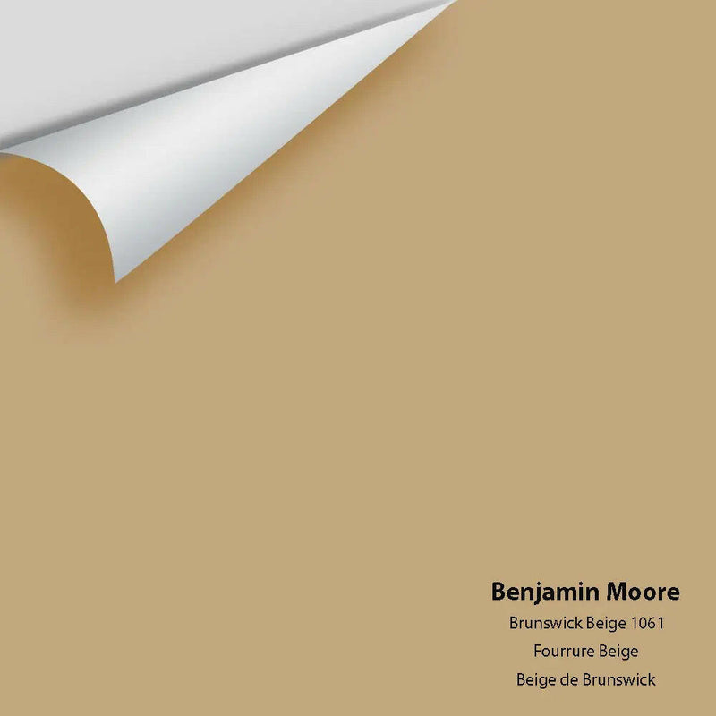Big Paint Chip - Brunswick Beige 1061