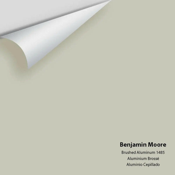 Big Paint Chip - Brushed Aluminum 1485