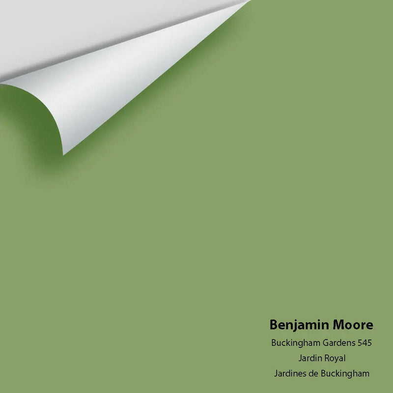 Big Paint Chip - Buckingham Gardens 545
