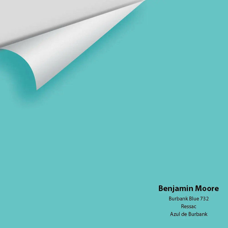 Big Paint Chip - Burbank Blue 732