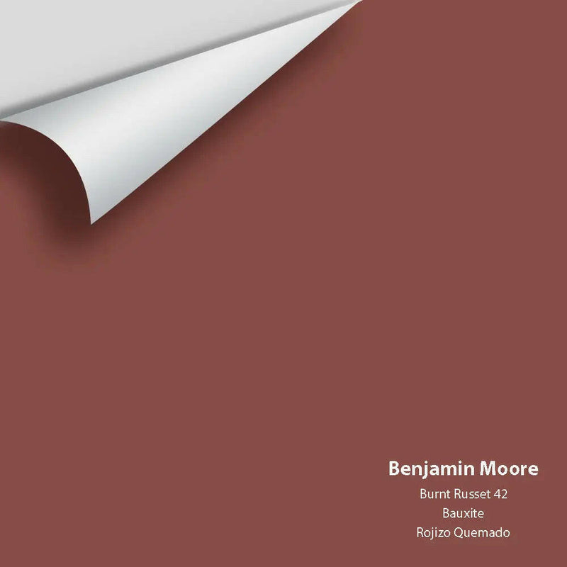 Big Paint Chip - Burnt Russet 42
