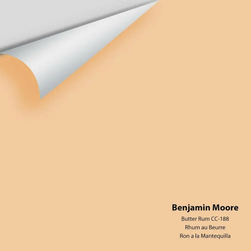 Big Paint Chip - Butter Rum CC-188