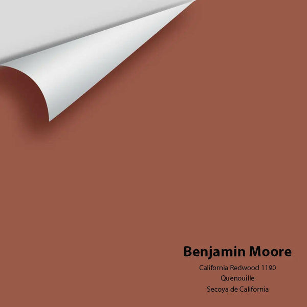 Big Paint Chip - California Redwood 1190