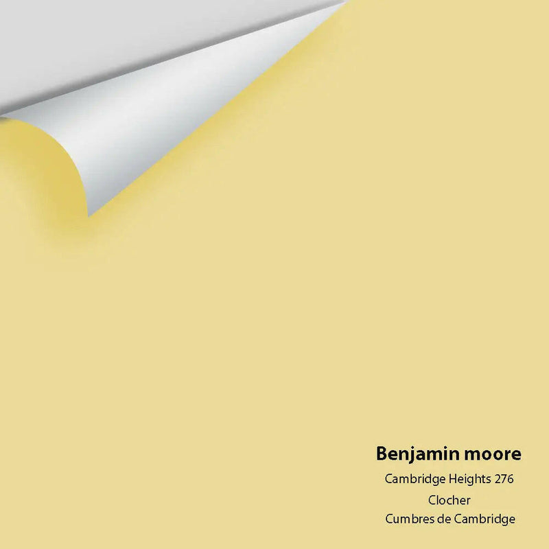 Big Paint Chip - Cambridge Heights 276