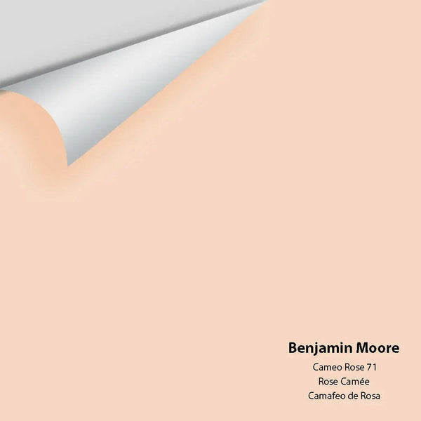 Big Paint Chip - Cameo Rose 71