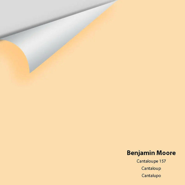 Big Paint Chip - Cantaloupe 157