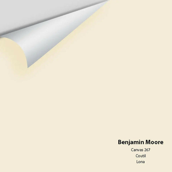 Big Paint Chip - Canvas 267