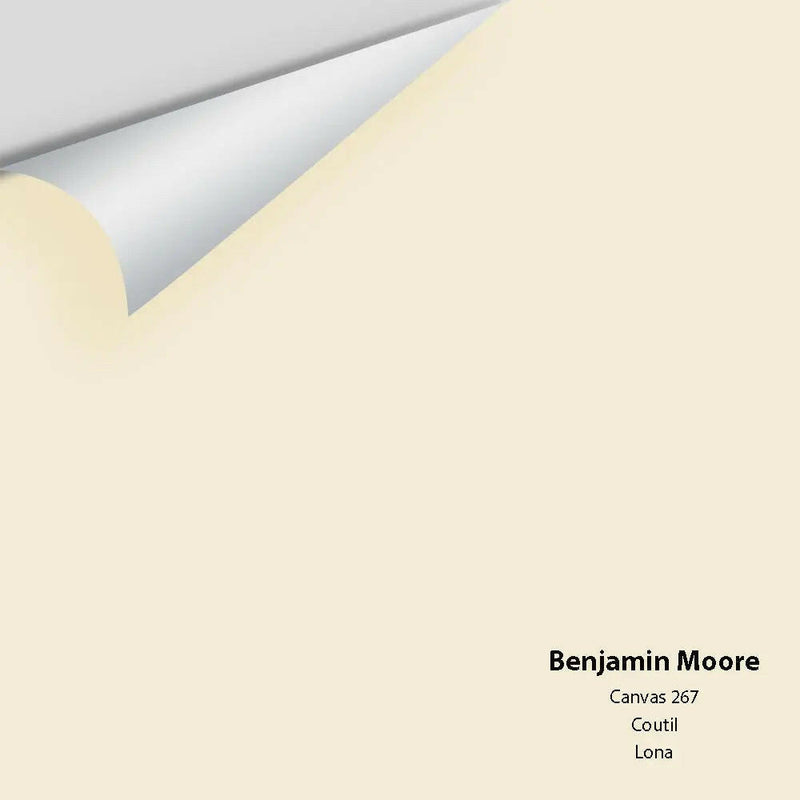 Big Paint Chip - Canvas 267