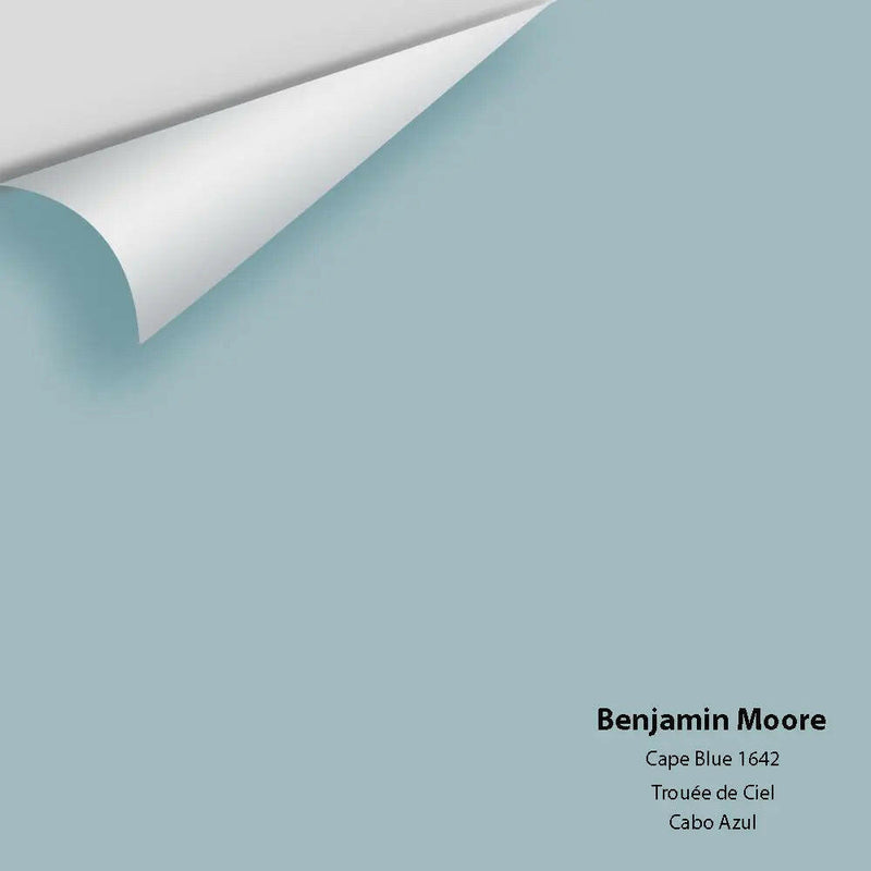 Big Paint Chip - Cape Blue 1642