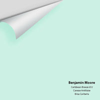 Big Paint Chip - Caribbean Breeze 652