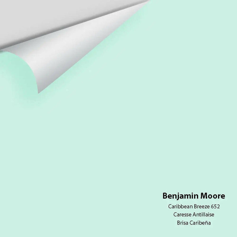 Big Paint Chip - Caribbean Breeze 652