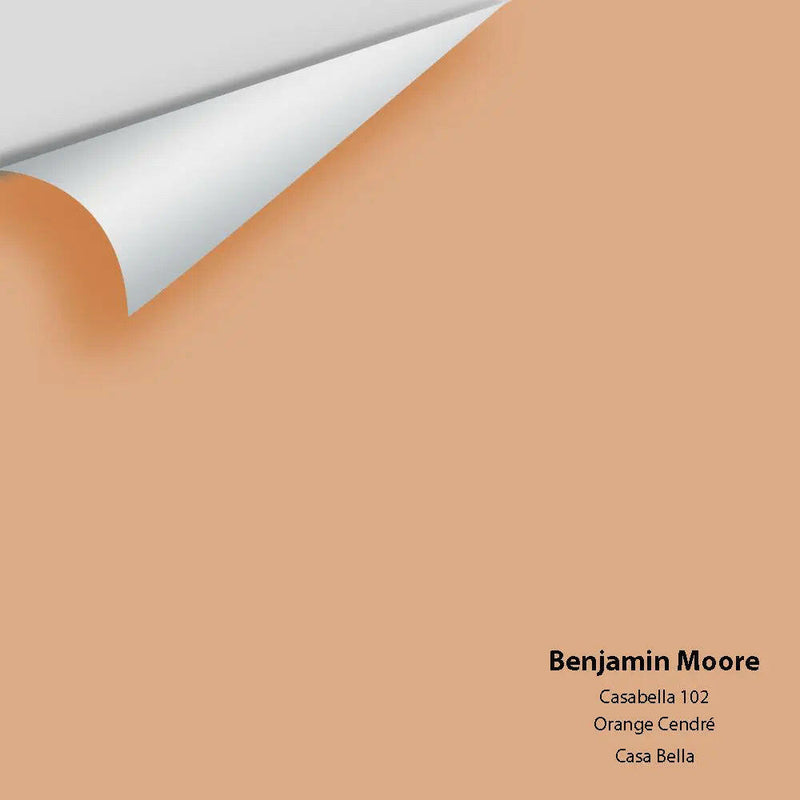 Big Paint Chip - Casabella 102