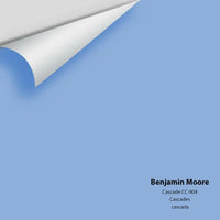 Big Paint Chip - Cascade CC-904