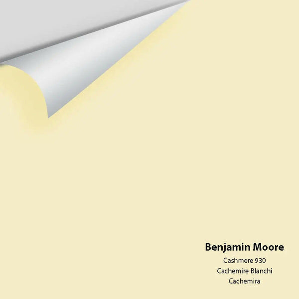 Big Paint Chip - Cashmere 930