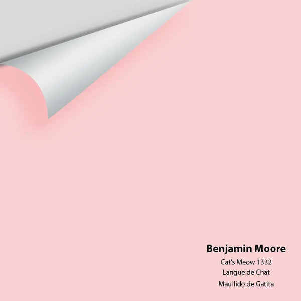 Big Paint Chip - Cat's Meow 1332