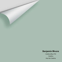 Benjamin Moore - Catalina Blue 703 Colour Sample