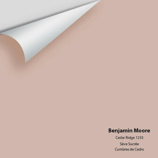 Big Paint Chip - Cedar Ridge 1233