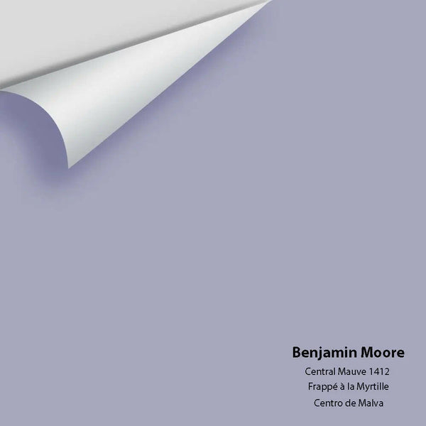 Big Paint Chip - Central Mauve 1412 - Colour Squared Inc.