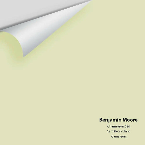 Benjamin Moore - Chameleon 526 Colour Sample