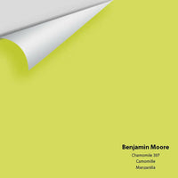Big Paint Chip - Chamomile 397