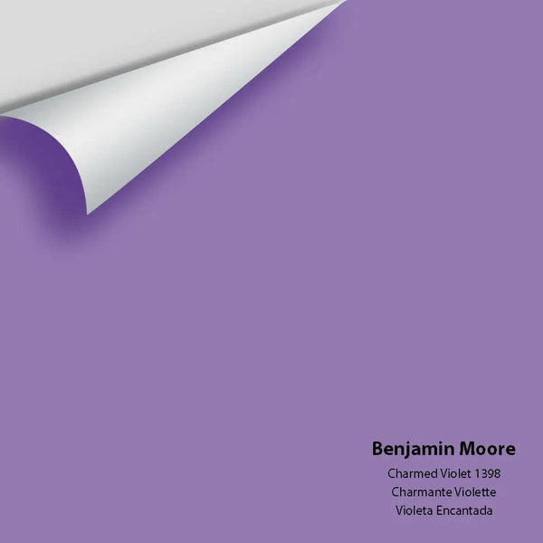 Big Paint Chip - Charmed Violet 1398 - Colour Squared Inc.