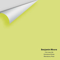 Big Paint Chip - Chic Lime 396