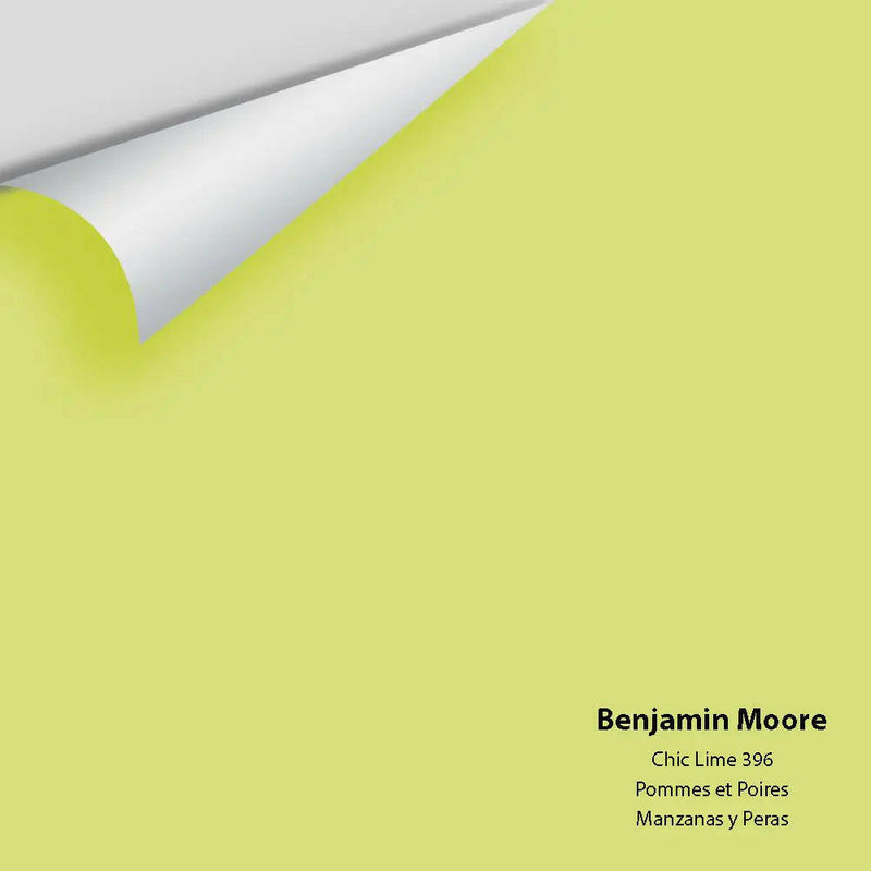 Big Paint Chip - Chic Lime 396