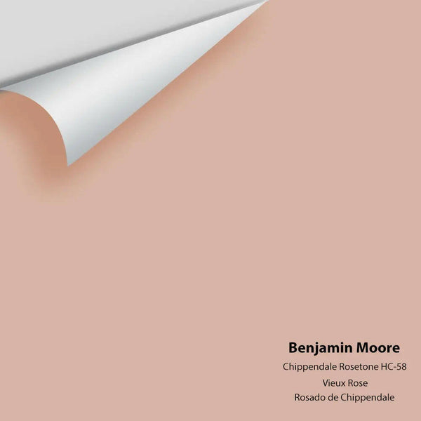 Big Paint Chip - Chippendale Rosetone HC-58